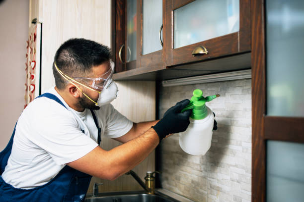 Pest Control Cost in Clarkson Valley, MO